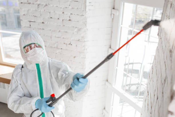 Trusted Sherwood, OR Mold Inspection, Removal & Remediation Experts